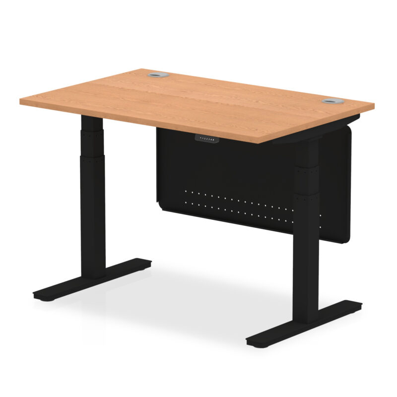 Air Height Adjustable Desk With Cable Ports With Steel Modesty Panel - Image 10